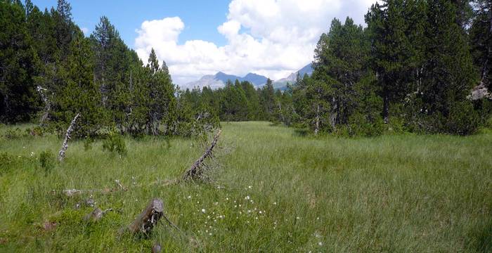 Schutzgebiet Maloja