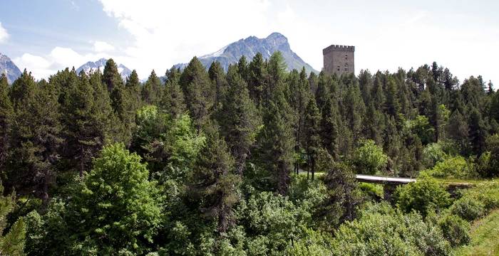 Naturzentrum Torre Belvedere © Pro Natura