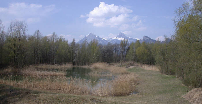 Siechastuden © Pro Natura Graubünden