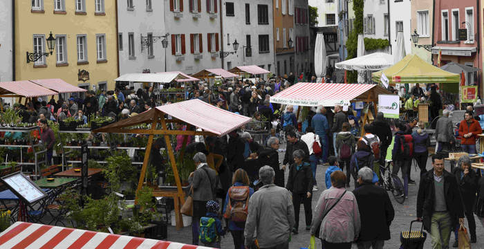 Setzlingsmarkt