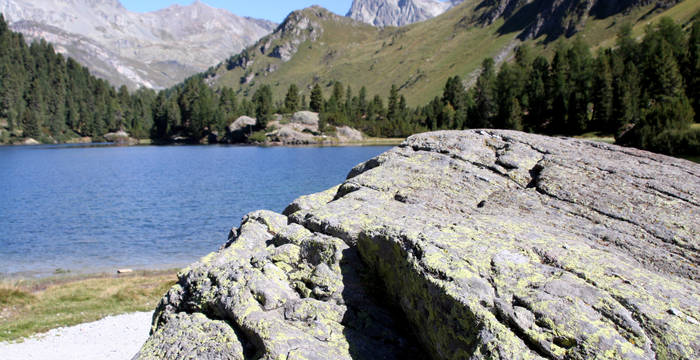 Lägh da Cavloc (c) Max Maisch