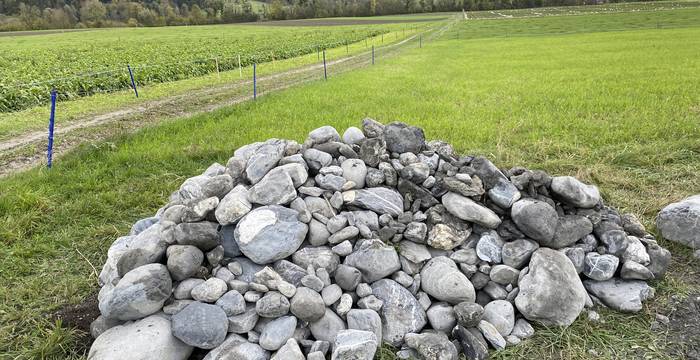 Steinhaufen