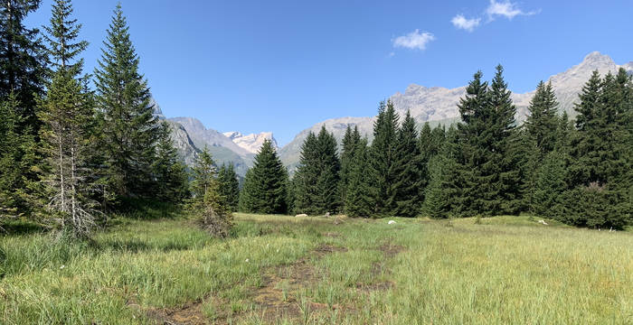 Alp Flix (c) Pro Natura Graubünden