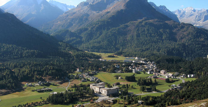 Wald in Maloja