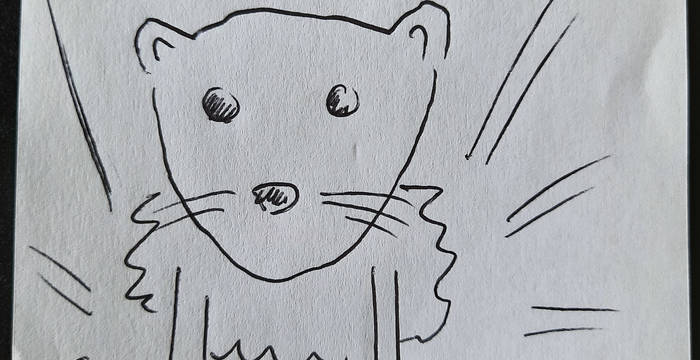 31