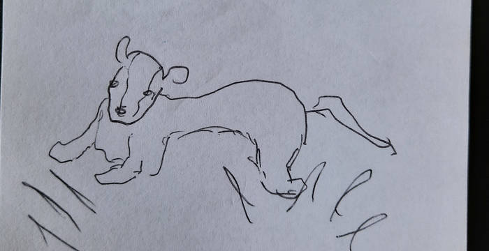 34
