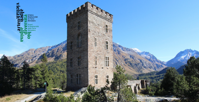Ausstellung Torre Belvedere