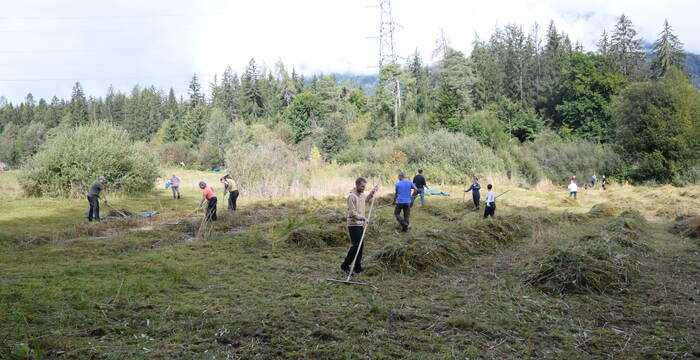 Moorpflege im Schutzgebiet Weihermühle