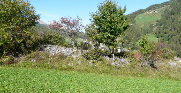 Hecke Val Müstair