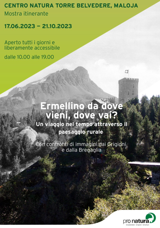 Flyer mostra