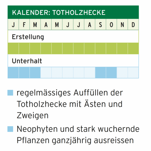 Grafik Totholzhecke