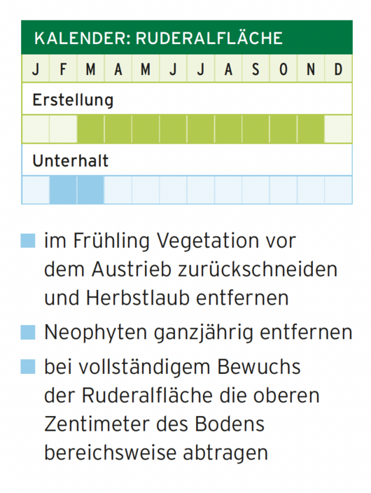 Kalender-Grafik Ruderalflächen