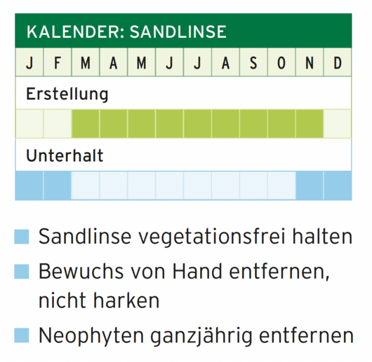 Kalender-Grafik Sandlinse