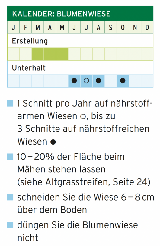 Kalender-Grafik Blumenwiese