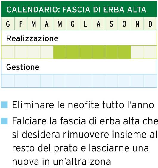 Calendario: Fascia di erba alta