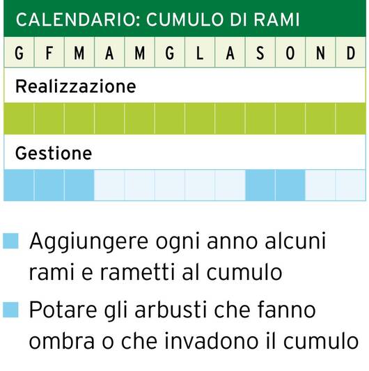 Calendario: cumolo di rami