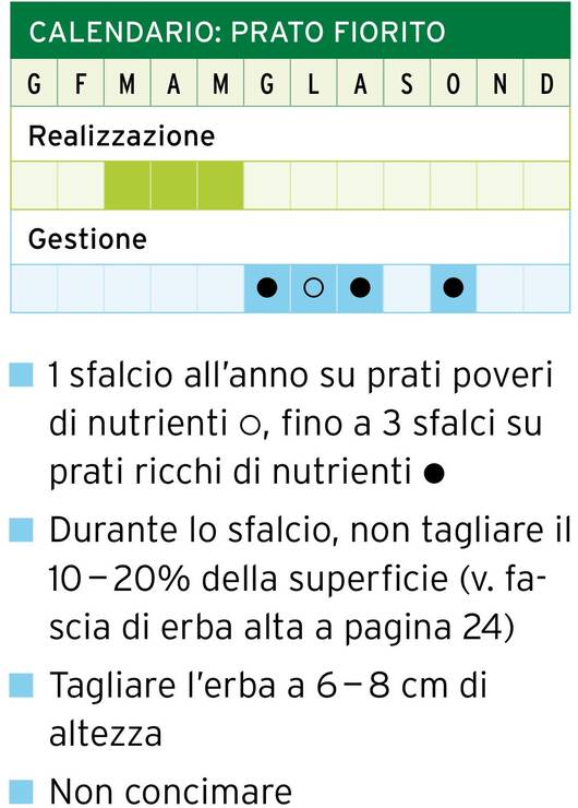 Calendario: prato fiorito