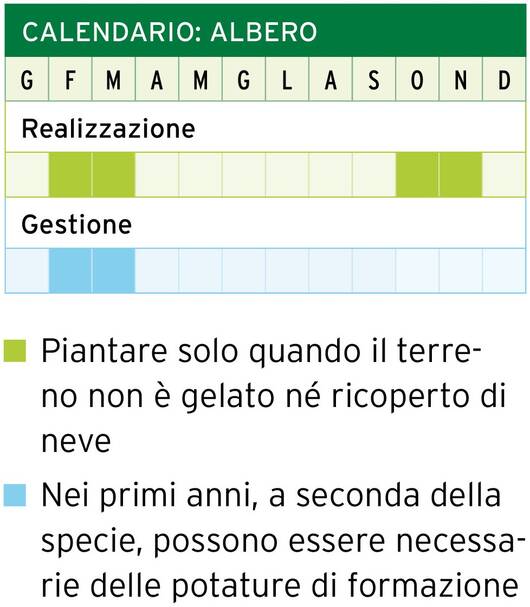Calendario: albero