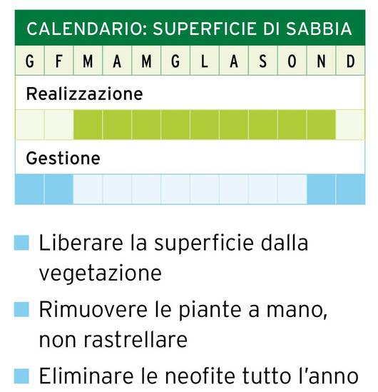 Calendario: superficie di sabbia