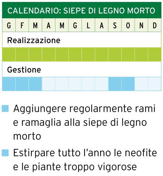 Calendario: sepie di legno morto