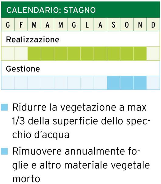 Calendario: Stagno