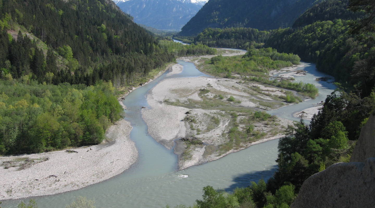 Unsere Erfolge Pro Natura
