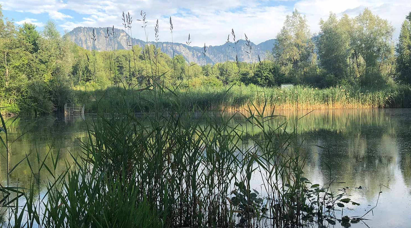 Siechastuden Pro Natura