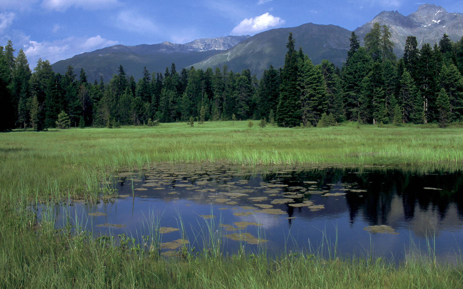 hochmoor