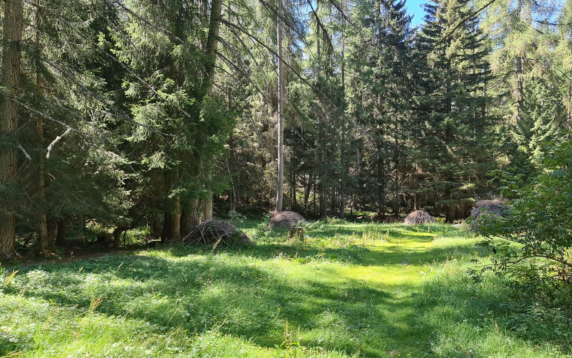 Natur und Kultur
