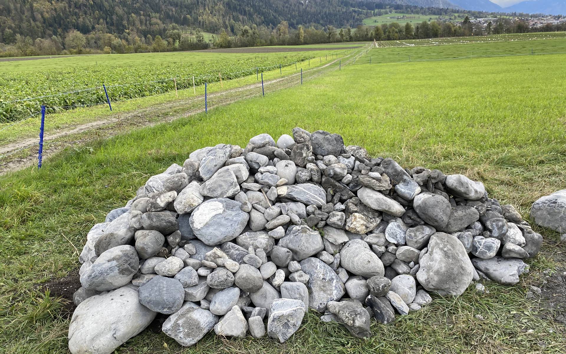 Steinhaufen