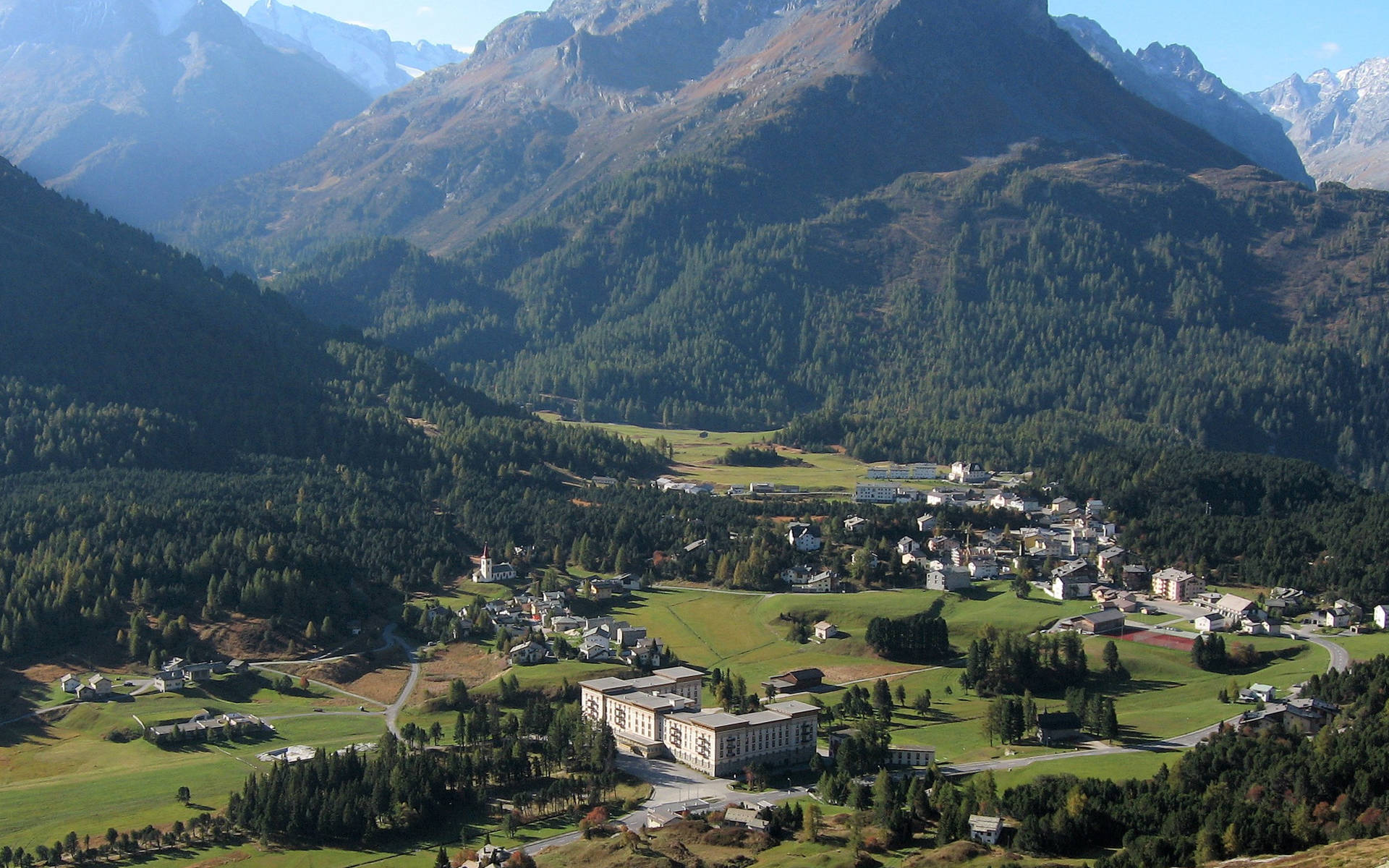 Wald in Maloja