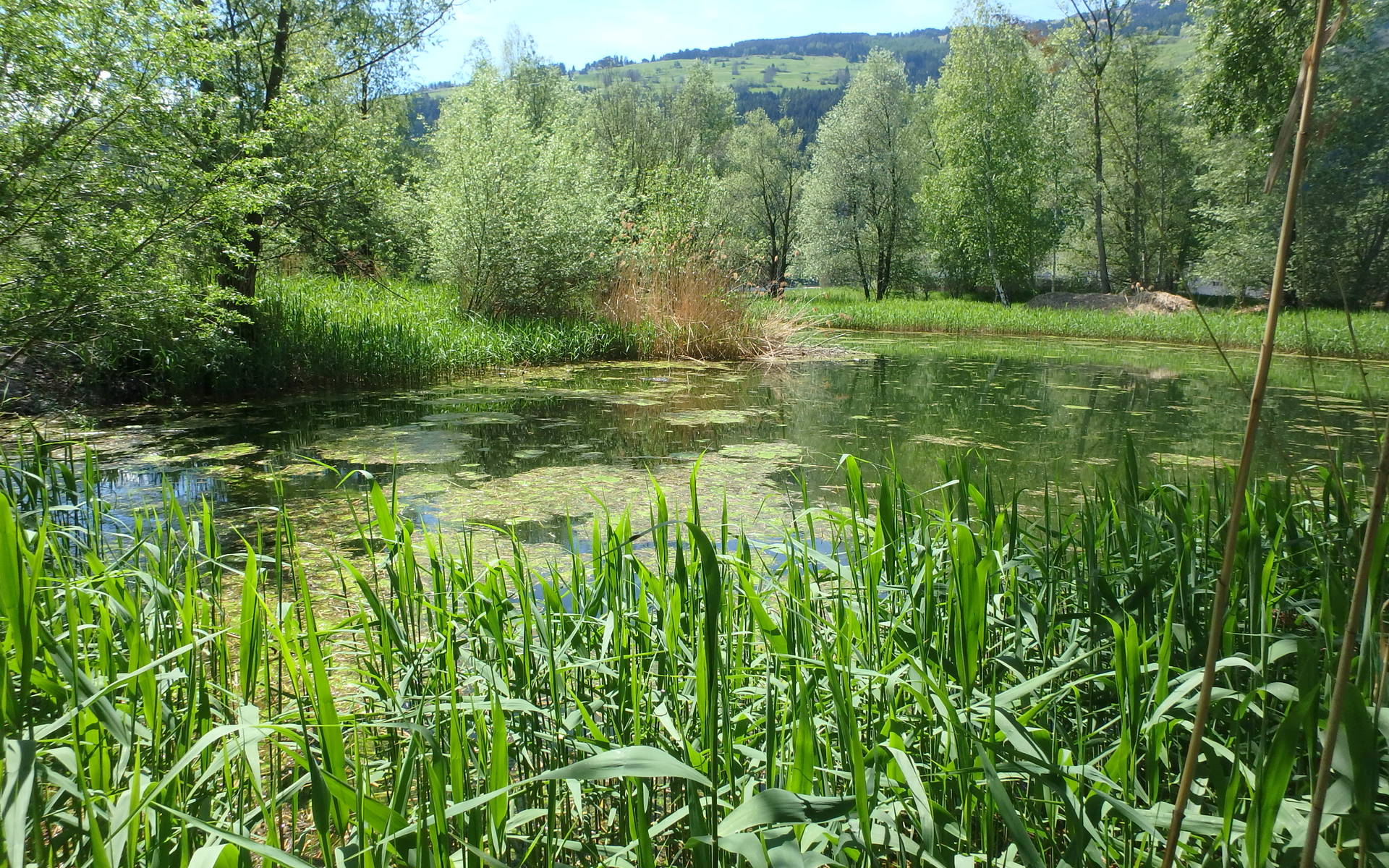 Schutzgebiet Munté