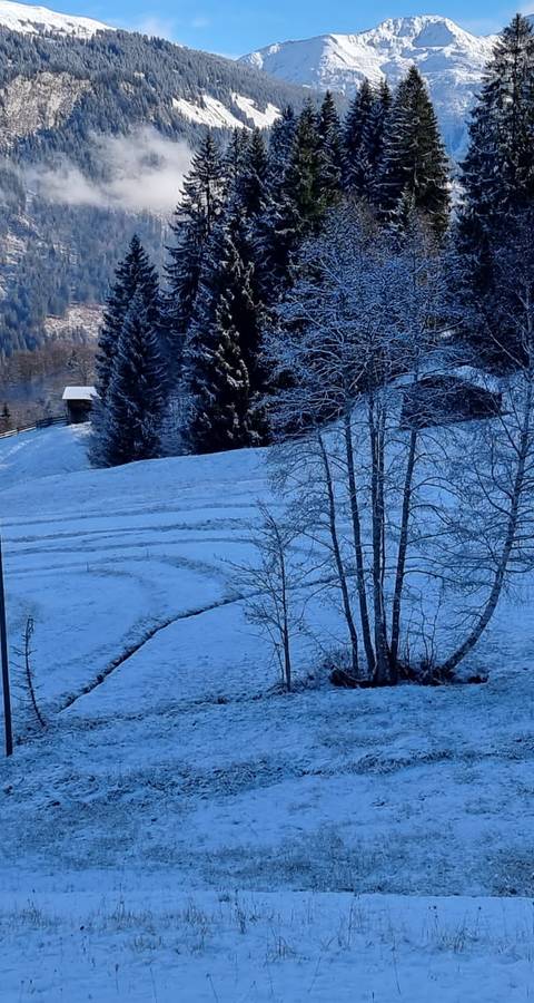 Mahdrest_Winter