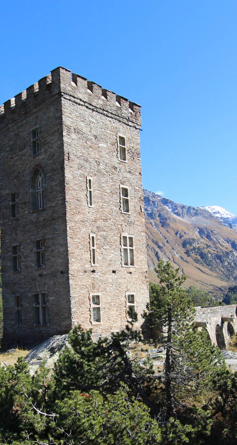 Torre Belvedere
