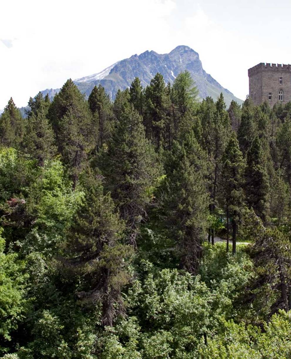 Naturzentrum Torre Belvedere