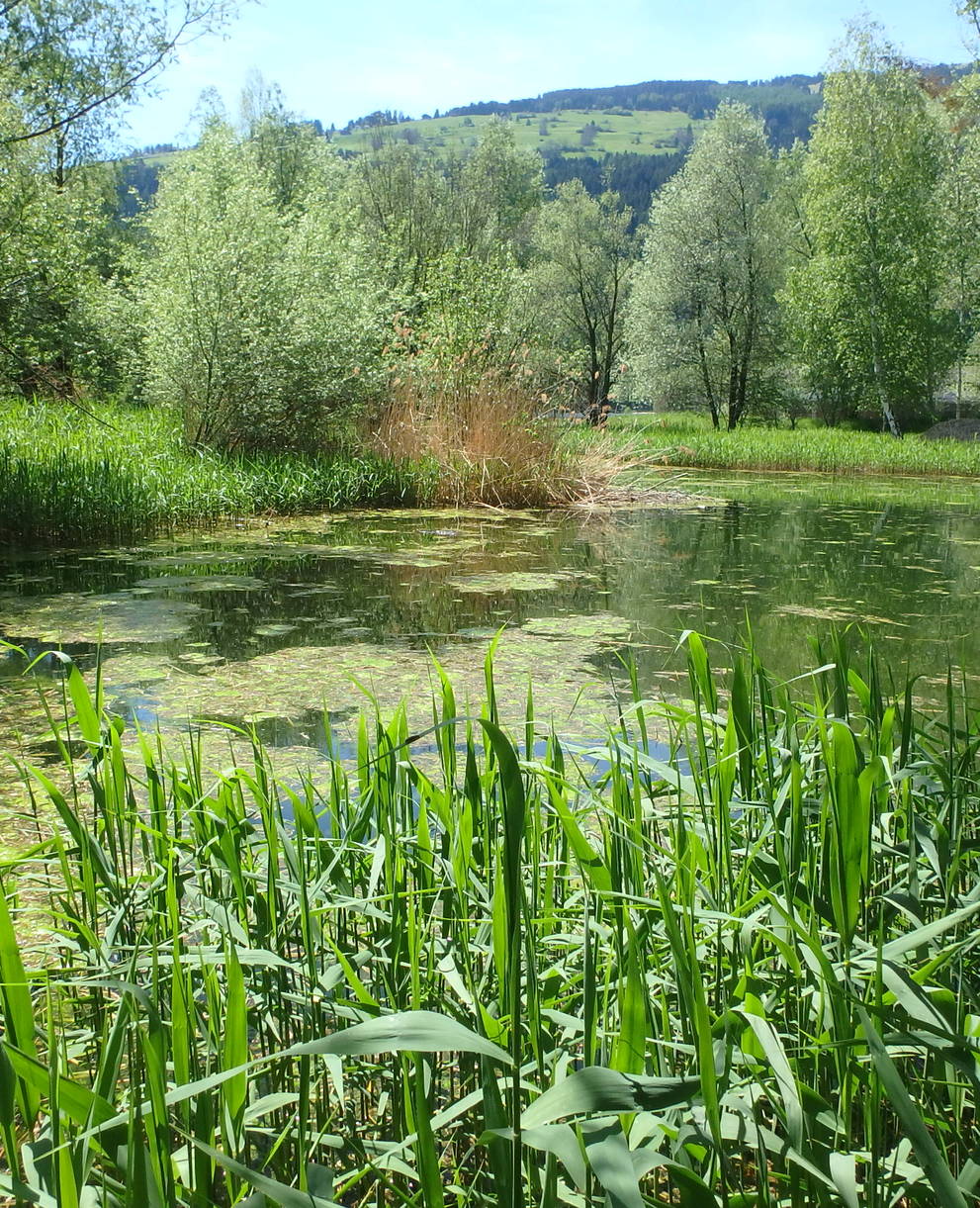 Schutzgebiet Munté