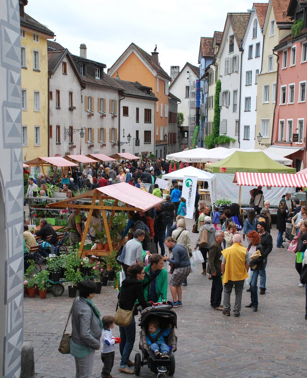 Setzlingmarkt