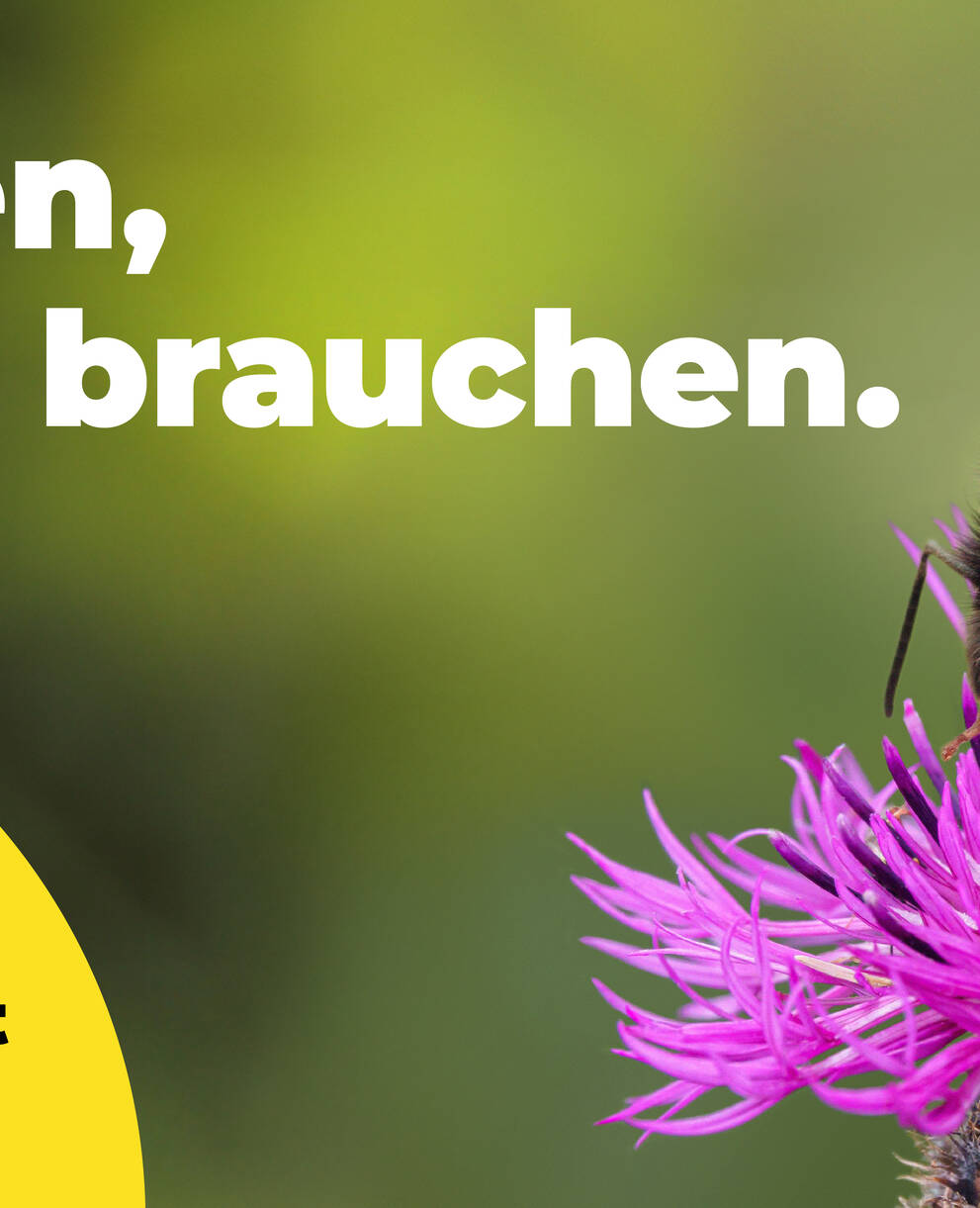 Ja zur Biodiversität