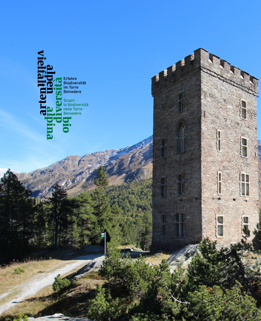 Ausstellung Torre Belvedere