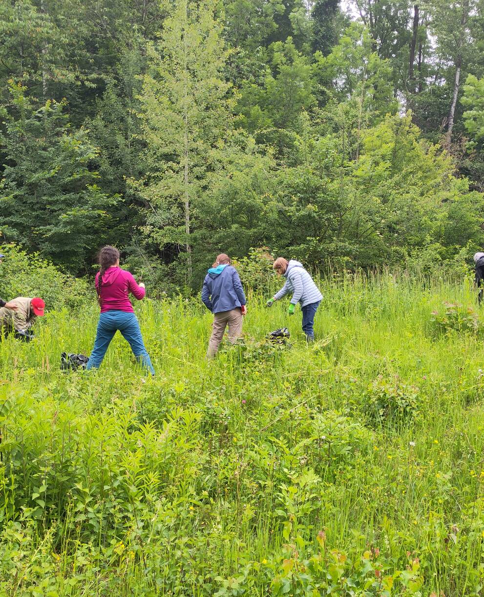 Freiwilligeneinsatz Siechastuden 2024