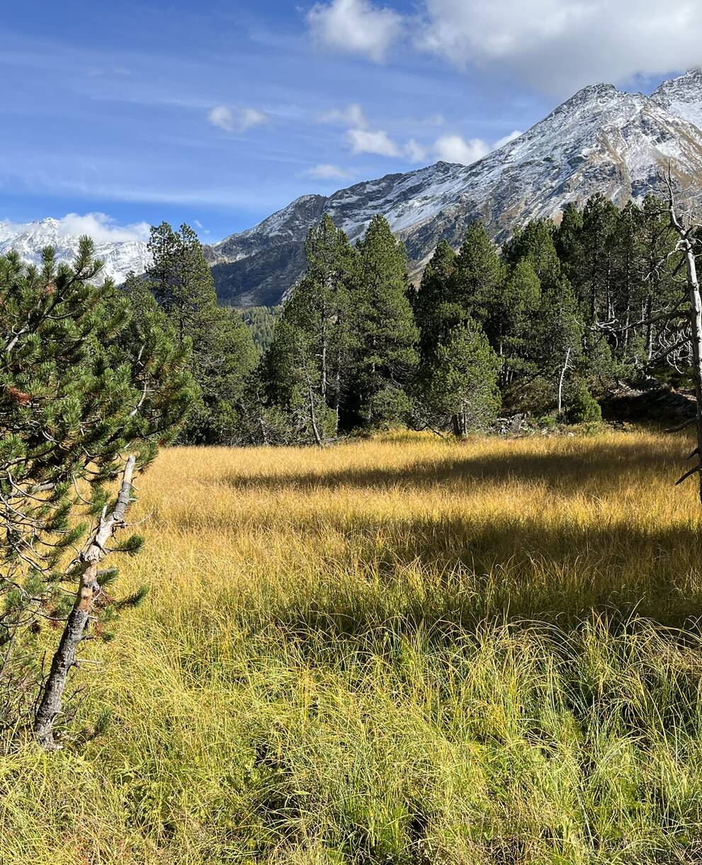 Schutzgebiet Maloja