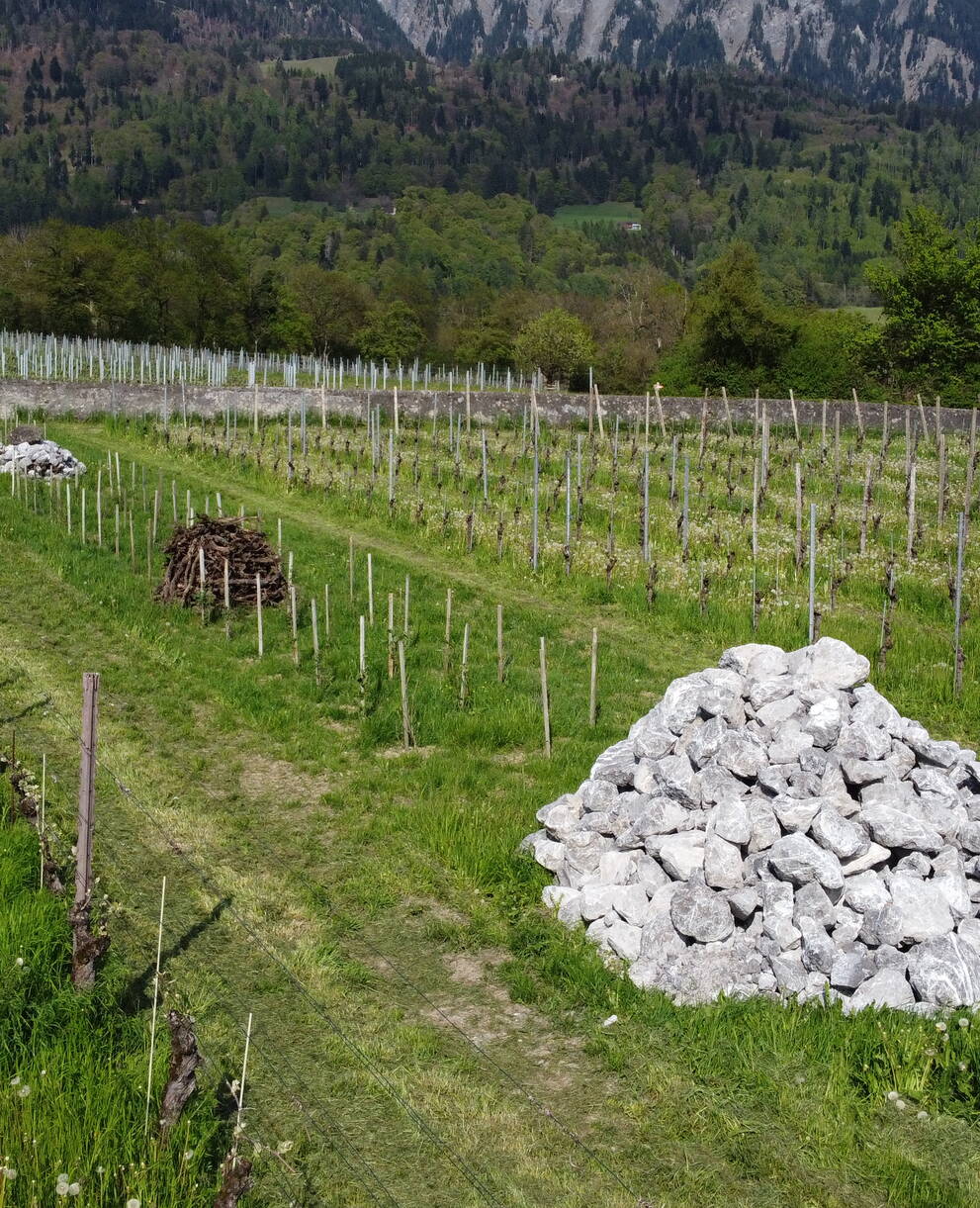 Steinhaufen