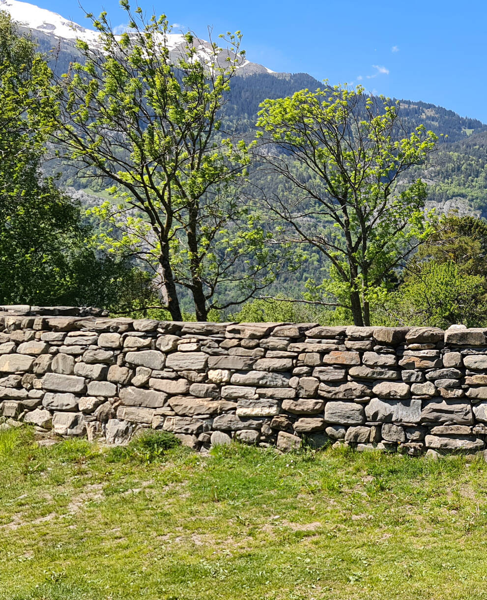 Trockenmauer