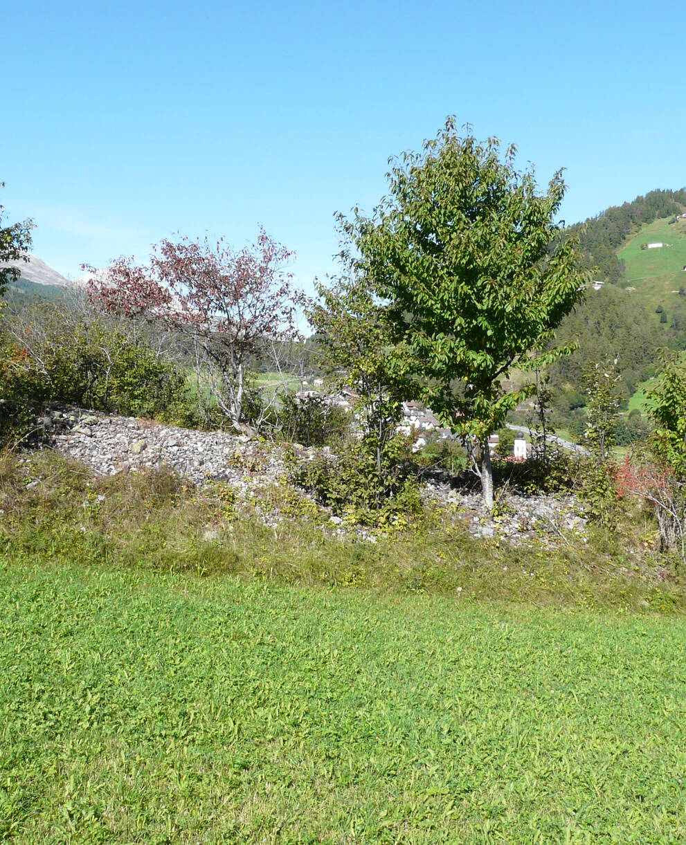 Hecke Val Müstair