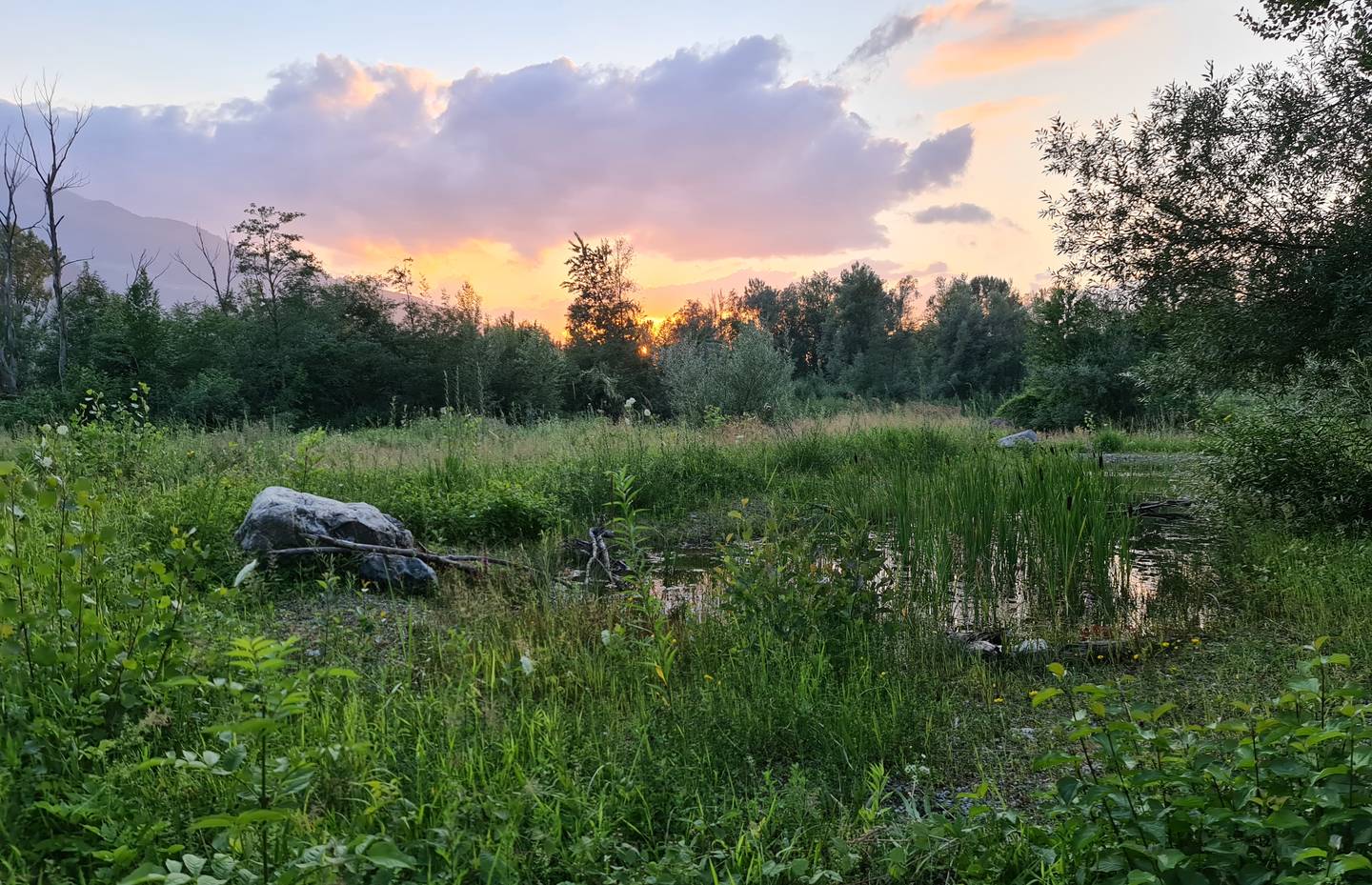 Teich, Siechastuden 