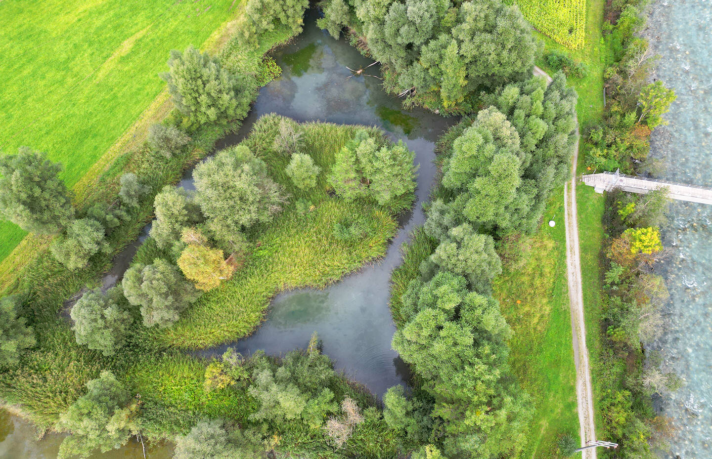 Teich im Schutzgebiet Munté