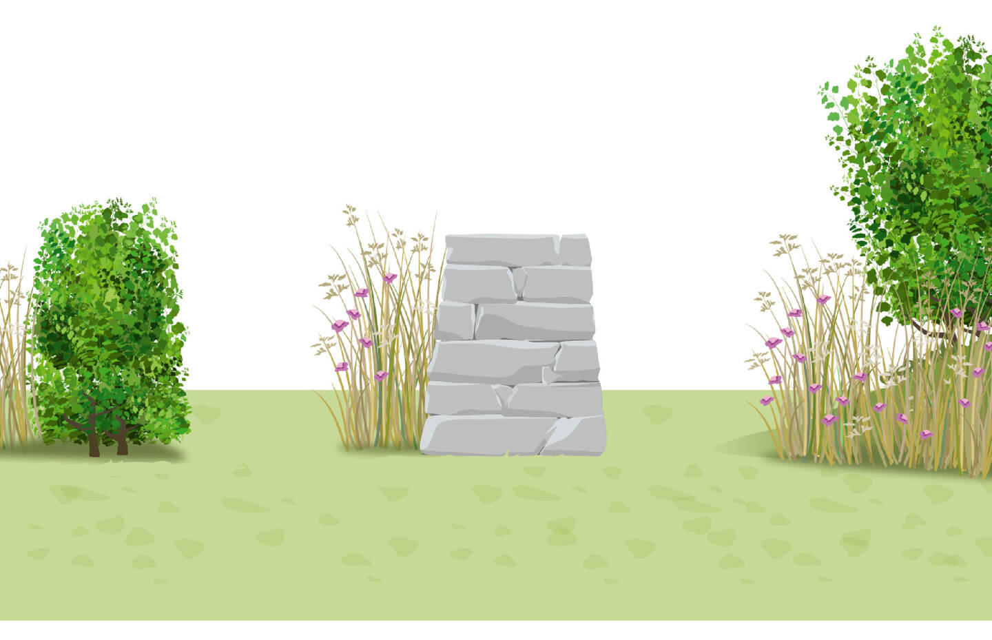 Grafik Altgrasstreifen