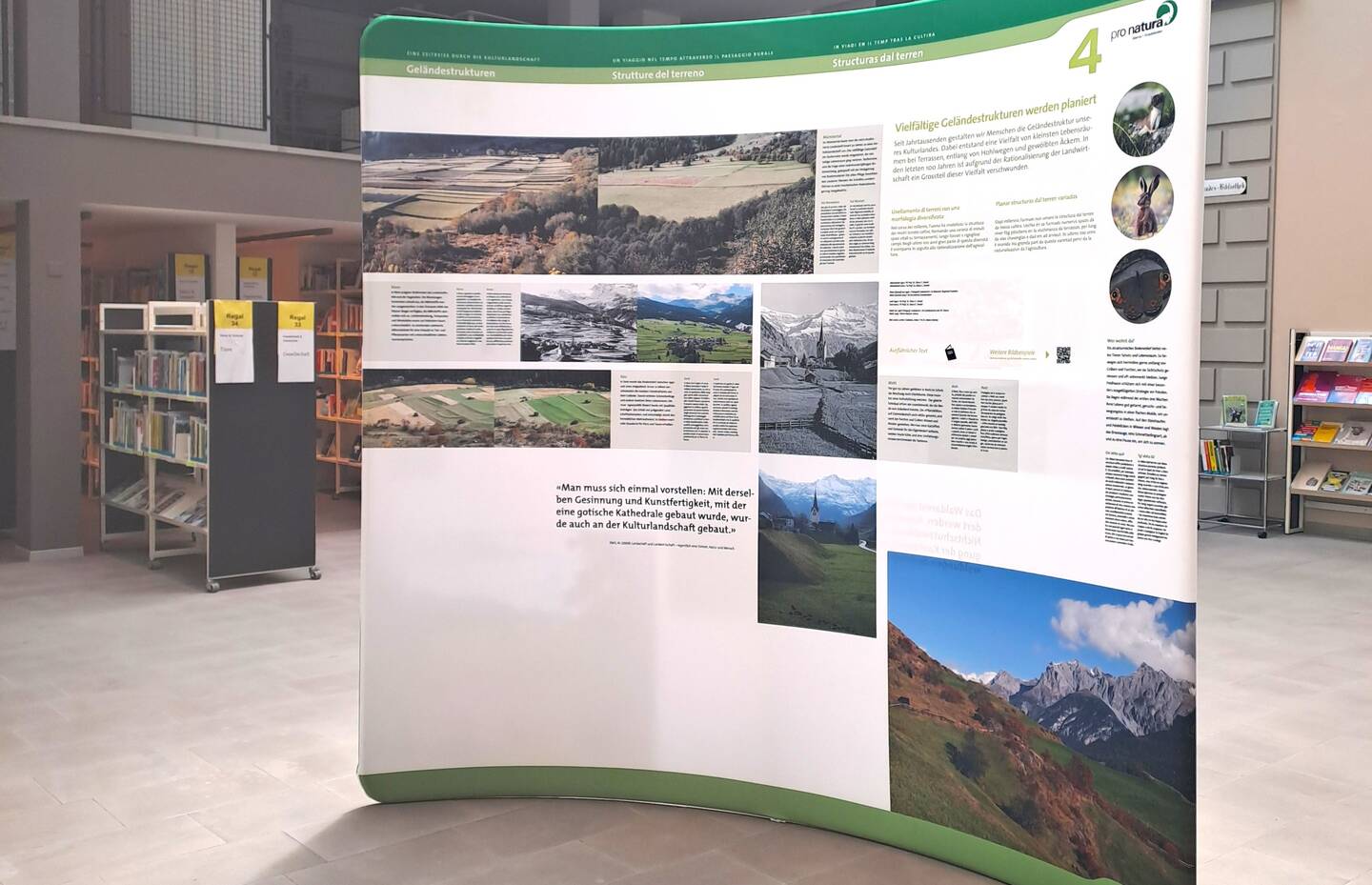 Ausstellung Hermelin in der Landesbibliothek Glarus