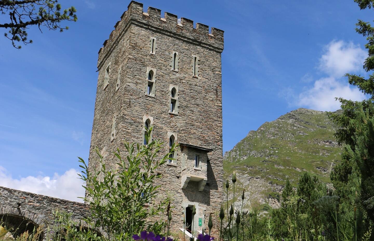Torre Belvedere mit Blumenwiese im Vordergrund