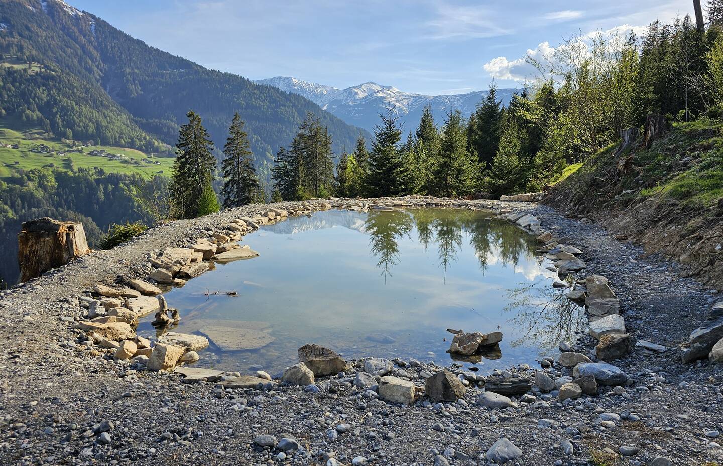 Teichstandort nach Teichbau